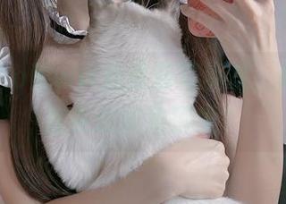 看着miko酱ww的最新写真集，秘密难道就在这些角落里？