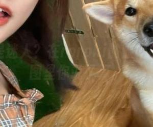 优雅还是迷人？在roroki骷髅姬的睡衣套图里你说了算。